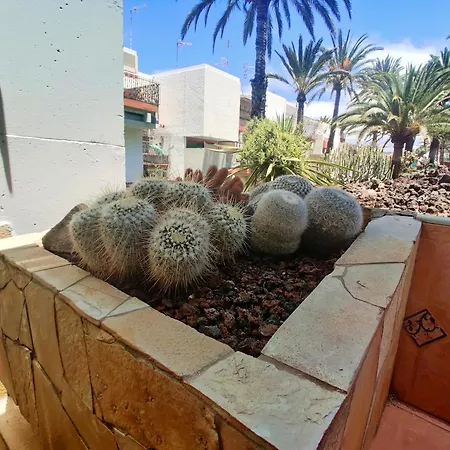 Apartman Armonia En Frontera-primavera Costa Del Silencio