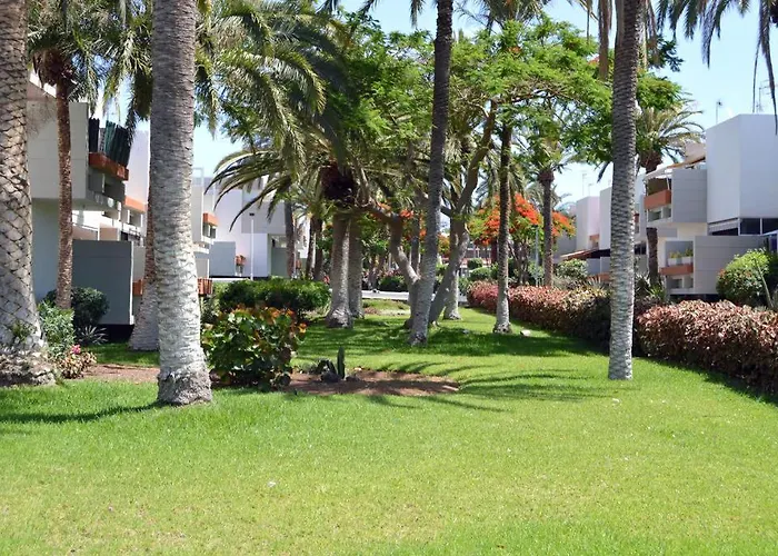 Armonia En Frontera-primavera *