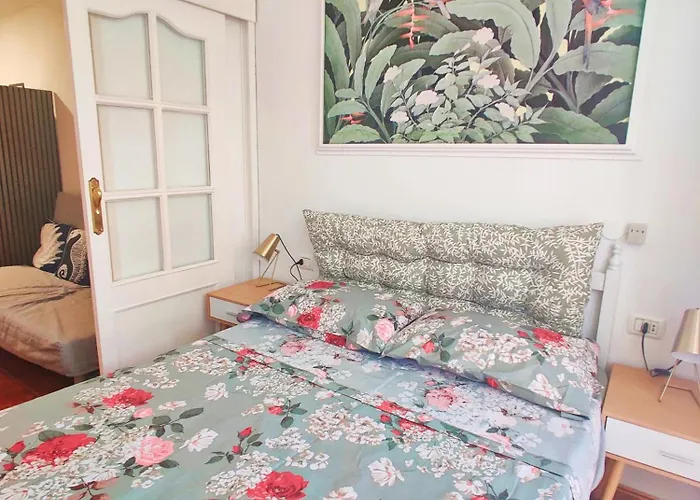 Armonia En Frontera-primavera קוסטה דל סילנסיו