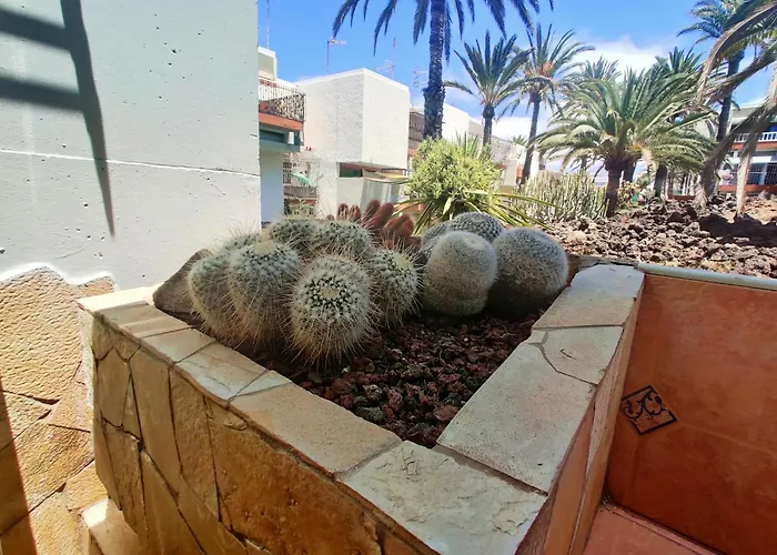 Apartmán Armonia En Frontera-primavera Costa Del Silencio